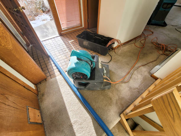 Best Flood damage cleanup  in Seven Corners, VA