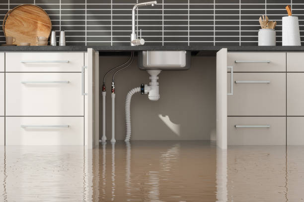 Best Commercial water damage restoration  in Seven Corners, VA