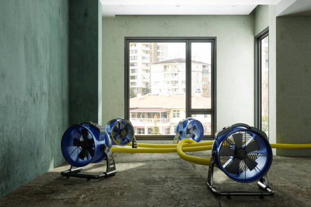 Best Emergency water damage restoration  in Seven Corners, VA